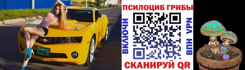 Псилоцибиновые грибы мицелий  OMG вход  Щёлкино 