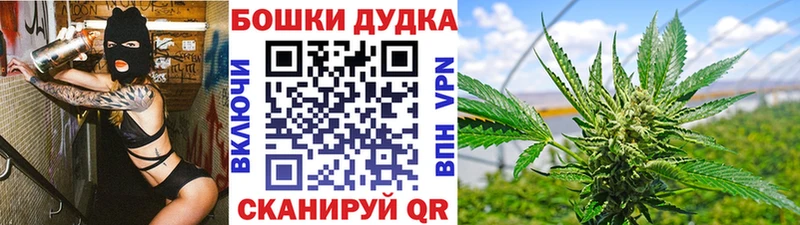 Бошки марихуана гибрид  наркошоп  Щёлкино 